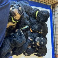 processed/9bec45a9-e063-4819-a539-4a7297b9ea07/facility/0e0978e7-eb3c-421a-bf3f-949bc30ce17a