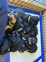 processed/9bec45a9-e063-4819-a539-4a7297b9ea07/facility/0e0978e7-eb3c-421a-bf3f-949bc30ce17a