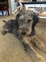 processed/9bec45a9-e063-4819-a539-4a7297b9ea07/facility/26462ffa-b9c9-4aa9-bc60-94b5f2f712a9