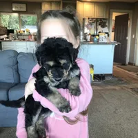 processed/9bec45a9-e063-4819-a539-4a7297b9ea07/facility/5f323eb6-cdb1-44ac-a5cb-7a2a709657be