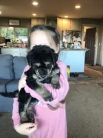 processed/9bec45a9-e063-4819-a539-4a7297b9ea07/facility/5f323eb6-cdb1-44ac-a5cb-7a2a709657be