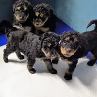 processed/9bec45a9-e063-4819-a539-4a7297b9ea07/facility/75e694f0-0db7-4a7d-bbf0-a8634e1e4e7f