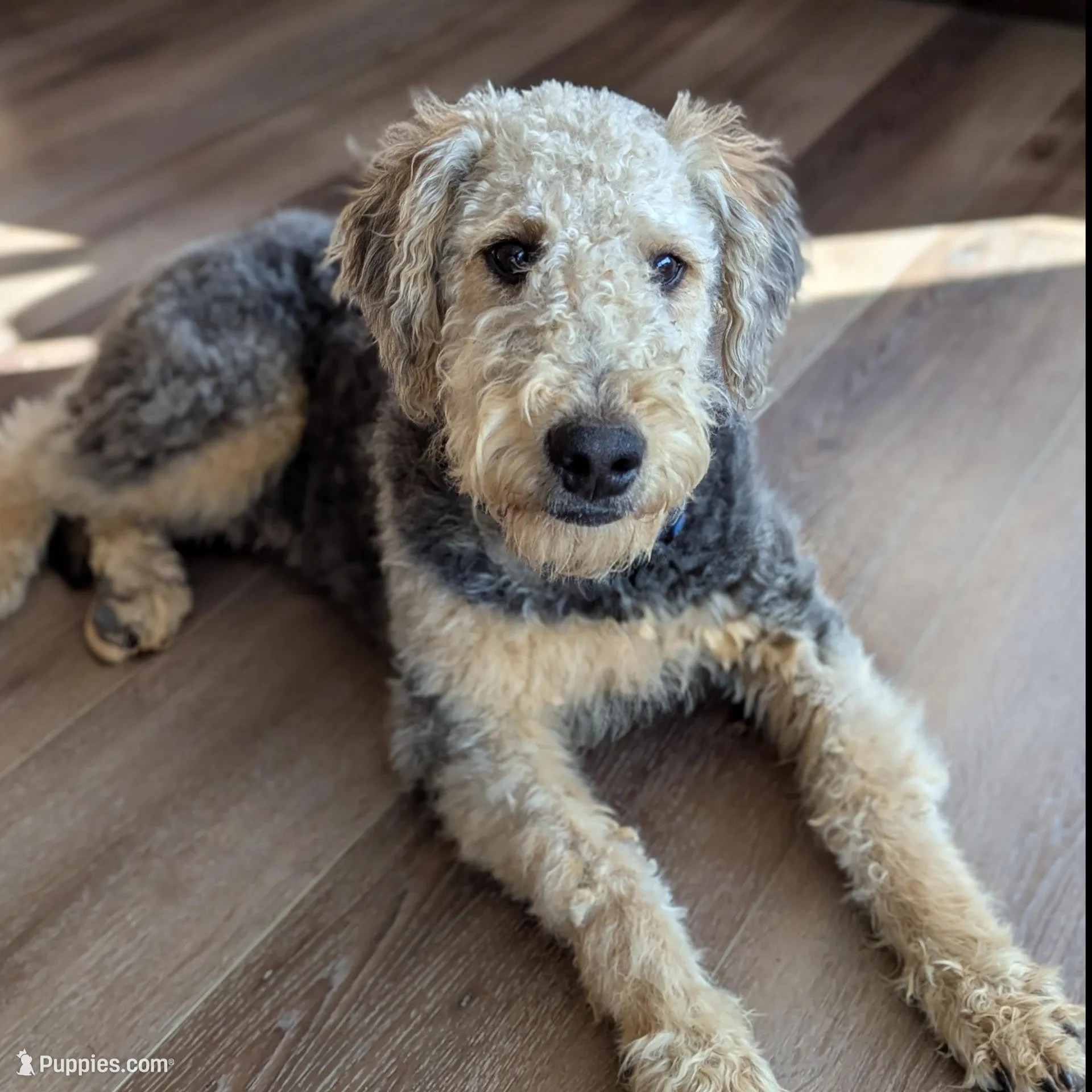 processed/9bec45a9-e063-4819-a539-4a7297b9ea07/facility/844326e5-9b91-4d7c-b78d-40ed73612b35