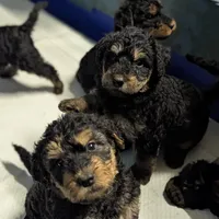 processed/9bec45a9-e063-4819-a539-4a7297b9ea07/facility/8802a191-e441-4b65-a0b0-1d7a203b6320