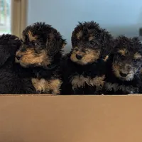 processed/9bec45a9-e063-4819-a539-4a7297b9ea07/facility/a2cfd8d9-d303-435d-a6d1-594956709dd8