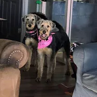 processed/9bec45a9-e063-4819-a539-4a7297b9ea07/facility/a51b0e18-b313-48f1-874a-baa27182bdd7