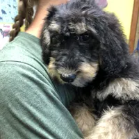 processed/9bec45a9-e063-4819-a539-4a7297b9ea07/facility/ade435fe-3fbc-441c-b7bf-c4bdbc29726d