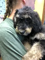 processed/9bec45a9-e063-4819-a539-4a7297b9ea07/facility/ade435fe-3fbc-441c-b7bf-c4bdbc29726d