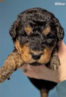 processed/9bec45a9-e063-4819-a539-4a7297b9ea07/listing/1d456492-b5dd-46d6-b00e-220d27550ac7/62899607-7f94-474c-8ee5-8ce43ad4d3fb