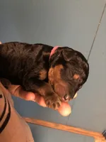 processed/9bec45a9-e063-4819-a539-4a7297b9ea07/listing/1d456492-b5dd-46d6-b00e-220d27550ac7/bbcb8738-44fc-44fe-a8b4-0c22f329bbe7