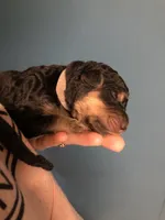 processed/9bec45a9-e063-4819-a539-4a7297b9ea07/listing/89283da8-1829-40db-9a3f-804c4a723678/264fbd82-4455-4a28-8d3d-9bb034492508