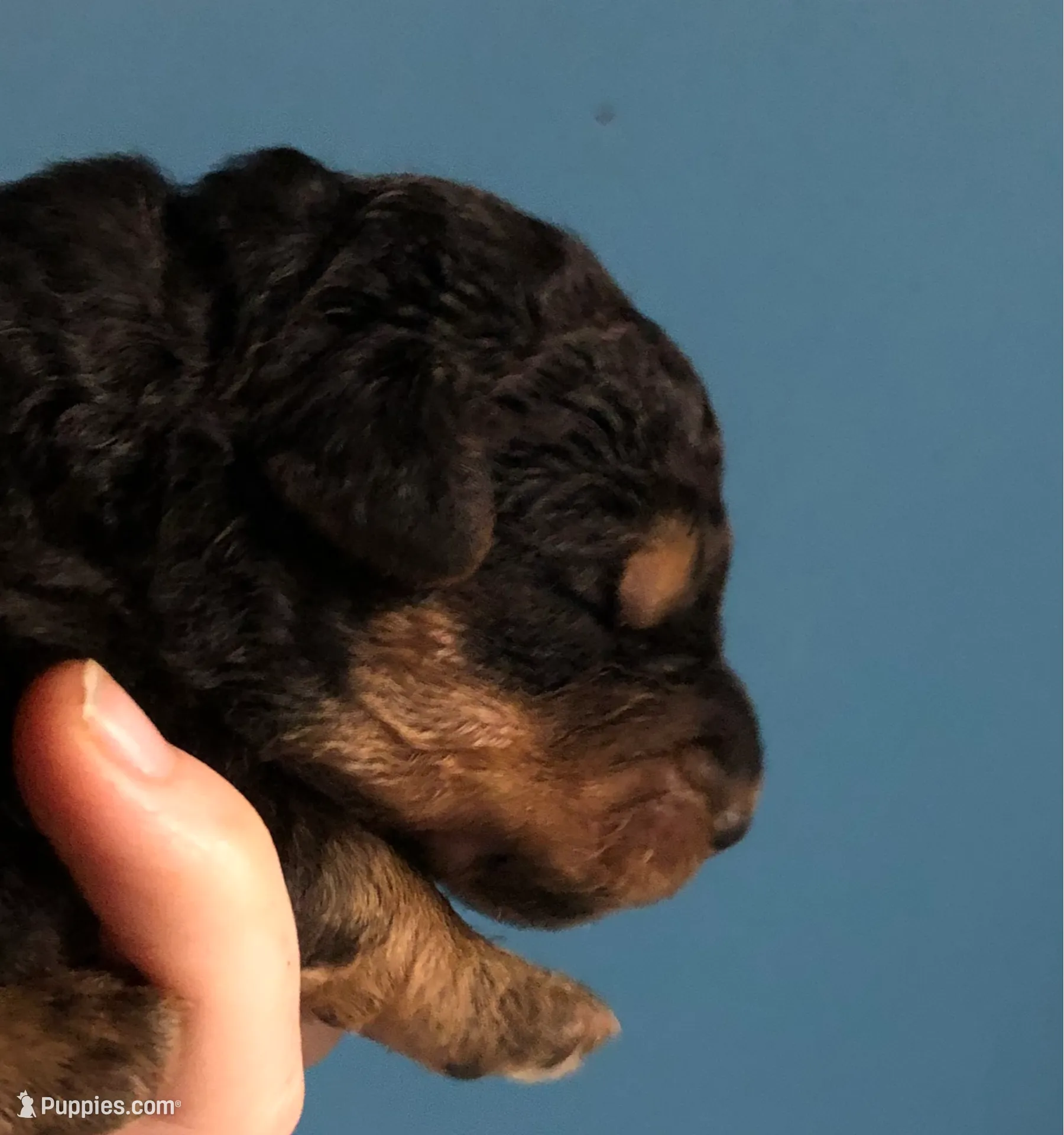 processed/9bec45a9-e063-4819-a539-4a7297b9ea07/listing/9cccf4ba-4e87-4650-8ed9-3f7e7984e72d/01311f17-541a-4812-be68-a235bd6f8785