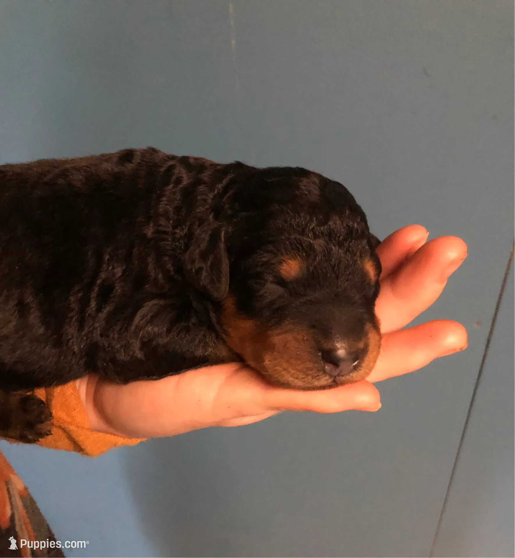 processed/9bec45a9-e063-4819-a539-4a7297b9ea07/listing/9cccf4ba-4e87-4650-8ed9-3f7e7984e72d/2e38445a-5337-4489-b75f-a329b1e7def9