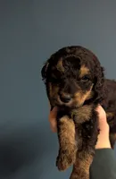 processed/9bec45a9-e063-4819-a539-4a7297b9ea07/listing/9cccf4ba-4e87-4650-8ed9-3f7e7984e72d/638571df-4ec1-4440-acd3-90b1115b63a9