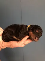 processed/9bec45a9-e063-4819-a539-4a7297b9ea07/listing/9e4cb51e-024f-40c5-8a1d-5ea56462224d/1b86cb43-efff-4f59-8471-545c9fe2cdf7