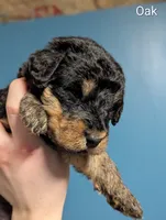 processed/9bec45a9-e063-4819-a539-4a7297b9ea07/listing/9e4cb51e-024f-40c5-8a1d-5ea56462224d/54256282-1b20-4ac3-8661-22893f17b953