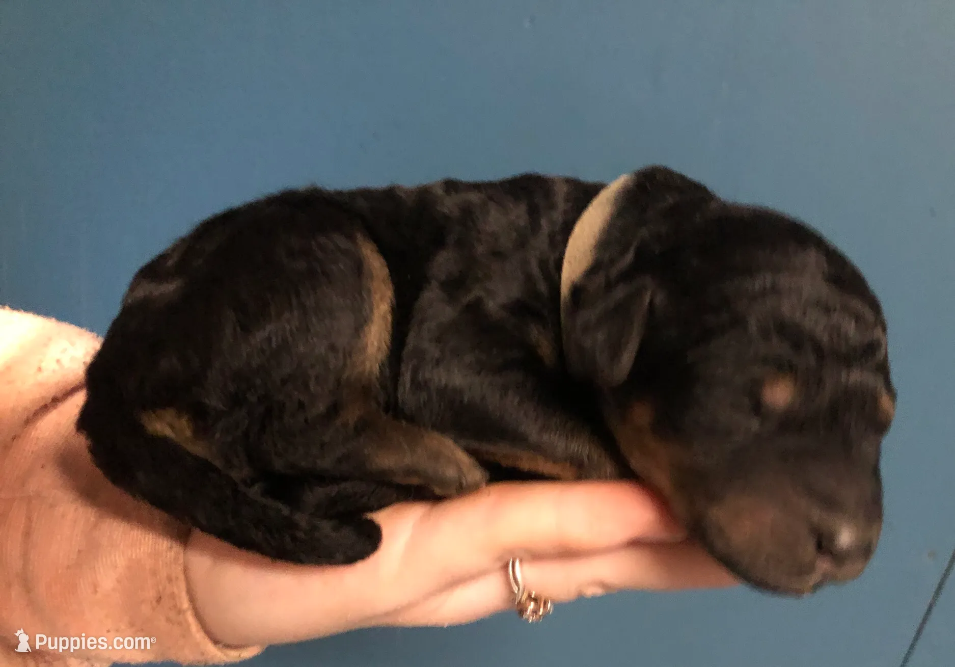 processed/9bec45a9-e063-4819-a539-4a7297b9ea07/listing/a688b901-5024-4f6a-a3fe-030264f4304d/af31267f-430a-4235-a0dd-a2362f47d638