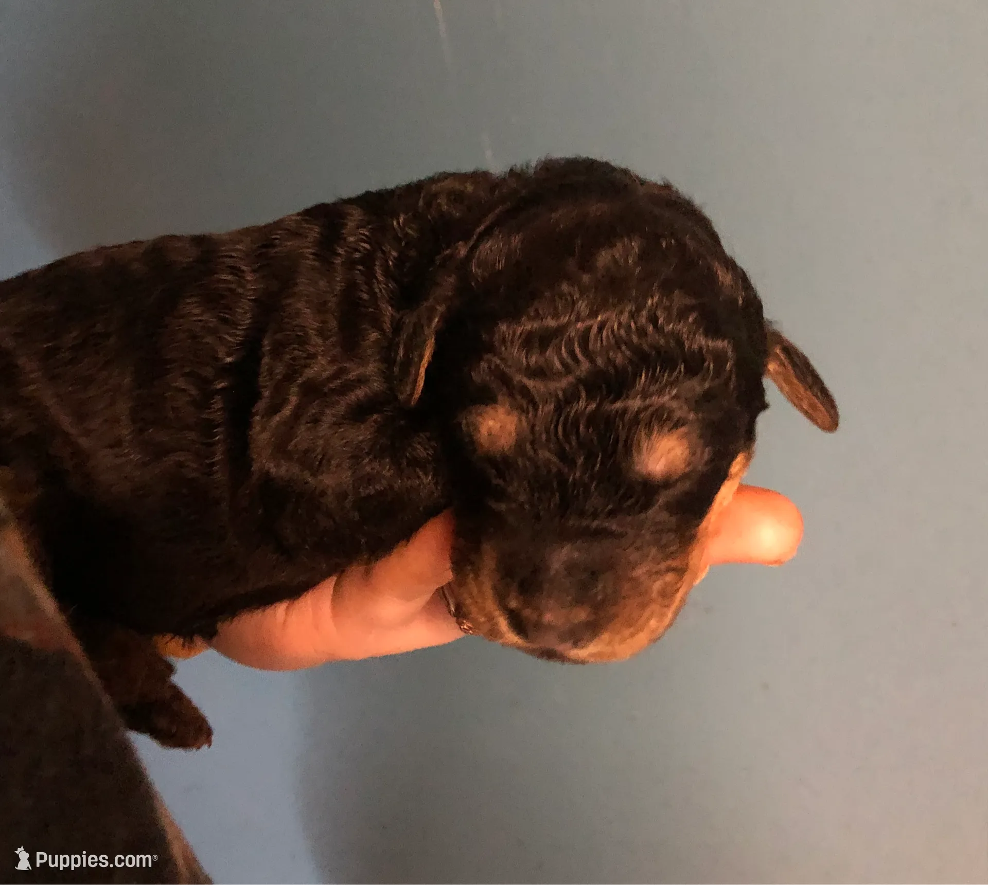 processed/9bec45a9-e063-4819-a539-4a7297b9ea07/listing/a7ee4d4e-457e-45bf-80a2-e8e843aeb269/a0d3e060-8af4-4cf6-bb98-84f791d06e84