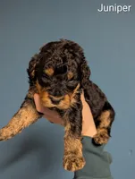 processed/9bec45a9-e063-4819-a539-4a7297b9ea07/listing/a7ee4d4e-457e-45bf-80a2-e8e843aeb269/a81f87c7-afa4-4a3a-b6c2-c304a2c6f4d4