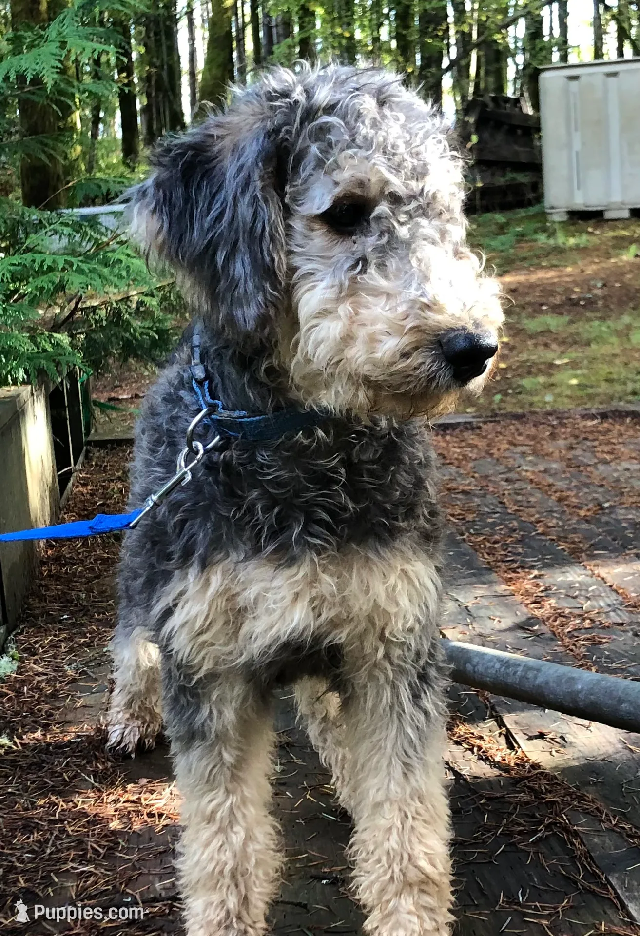 processed/9bec45a9-e063-4819-a539-4a7297b9ea07/listing/f74ac50d-0ec8-4bd0-a860-2e1aa483b1cb/0f4b2e33-58b2-418e-a711-2249ec2eef10