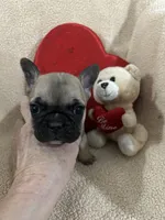 processed/9bef43f4-ceb9-452f-b4bf-de5776fd913a/listing/b0ae341b-6195-43e7-b4d7-6f0d500c6807/2bc52e3b-ad9f-4da5-a4af-e0d49972742a