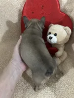 processed/9bef43f4-ceb9-452f-b4bf-de5776fd913a/listing/b0ae341b-6195-43e7-b4d7-6f0d500c6807/40d760f3-2ae8-45dc-8a83-87c1f10f5257