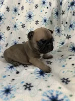 processed/9bef43f4-ceb9-452f-b4bf-de5776fd913a/listing/b0ae341b-6195-43e7-b4d7-6f0d500c6807/49394296-5562-47e5-82de-9956e306a57f