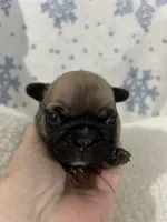 processed/9bef43f4-ceb9-452f-b4bf-de5776fd913a/listing/b0ae341b-6195-43e7-b4d7-6f0d500c6807/6cd64dee-a51a-43a7-9636-d262c1814bf3