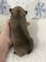 processed/9bef43f4-ceb9-452f-b4bf-de5776fd913a/listing/b0ae341b-6195-43e7-b4d7-6f0d500c6807/d47dd8d0-541f-4e56-8bf7-4f2c0af33c3f