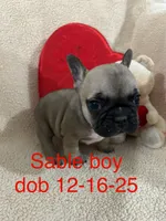 processed/9bef43f4-ceb9-452f-b4bf-de5776fd913a/listing/b0ae341b-6195-43e7-b4d7-6f0d500c6807/d9f3f1dd-1f3a-442a-ad30-c7396acf07ab