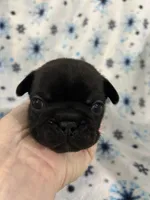 processed/9bef43f4-ceb9-452f-b4bf-de5776fd913a/listing/c7fe4422-0c71-498e-982a-47c148387430/022276f5-90c5-4cf1-af0d-2b561790d402