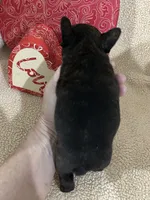 processed/9bef43f4-ceb9-452f-b4bf-de5776fd913a/listing/c7fe4422-0c71-498e-982a-47c148387430/cab9e3ba-dd51-481b-867c-4567e12d8b39