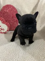 processed/9bef43f4-ceb9-452f-b4bf-de5776fd913a/listing/c7fe4422-0c71-498e-982a-47c148387430/ce8748ed-1236-4562-9a81-57c10c484569