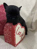 processed/9bef43f4-ceb9-452f-b4bf-de5776fd913a/listing/c7fe4422-0c71-498e-982a-47c148387430/ec7f772a-0637-4a12-a13e-40db2066f308