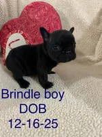 processed/9bef43f4-ceb9-452f-b4bf-de5776fd913a/listing/c7fe4422-0c71-498e-982a-47c148387430/f2871bcd-1552-4ff9-a943-e06cf6fe556d