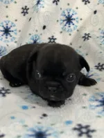 processed/9bef43f4-ceb9-452f-b4bf-de5776fd913a/listing/c7fe4422-0c71-498e-982a-47c148387430/fe819a0d-697c-4114-8640-75e74cacb5b6