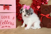 processed/9c18472a-38f5-456f-a226-38b1260b9b2e/listing/1b718f4e-dcae-4add-9790-0ab34b67d866/31973876-21c6-43a8-9b06-2d68580fecc8