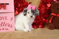 processed/9c18472a-38f5-456f-a226-38b1260b9b2e/listing/1b718f4e-dcae-4add-9790-0ab34b67d866/820847b2-f149-4db9-916e-40bb4c061b35