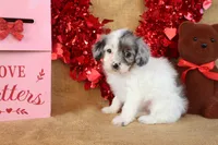 processed/9c18472a-38f5-456f-a226-38b1260b9b2e/listing/1b718f4e-dcae-4add-9790-0ab34b67d866/bc81cd95-85fc-4c41-a407-0fb841dfdc94