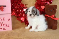 processed/9c18472a-38f5-456f-a226-38b1260b9b2e/listing/1b718f4e-dcae-4add-9790-0ab34b67d866/ff24c0f6-461c-4d58-a97c-a601f796c419