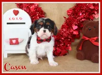 processed/9c18472a-38f5-456f-a226-38b1260b9b2e/listing/3ba3d9bd-57bf-4a18-85be-ebf6169f95bb/1372104d-9a3b-4aea-b498-1ae18b8e0f2a