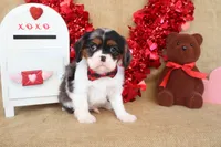 processed/9c18472a-38f5-456f-a226-38b1260b9b2e/listing/3ba3d9bd-57bf-4a18-85be-ebf6169f95bb/254e106c-eb89-417e-8eb3-f4717de50aac