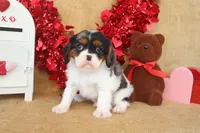 processed/9c18472a-38f5-456f-a226-38b1260b9b2e/listing/3ba3d9bd-57bf-4a18-85be-ebf6169f95bb/6636b846-ce5a-414f-8adb-737614cbbe5b