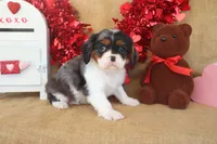 processed/9c18472a-38f5-456f-a226-38b1260b9b2e/listing/3ba3d9bd-57bf-4a18-85be-ebf6169f95bb/da540180-c7d0-41aa-a7e5-76fd8eca9de0