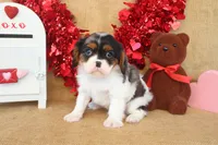 processed/9c18472a-38f5-456f-a226-38b1260b9b2e/listing/3ba3d9bd-57bf-4a18-85be-ebf6169f95bb/fe6ff329-4b6e-4e97-8c26-ef5f80add3a8