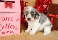 processed/9c18472a-38f5-456f-a226-38b1260b9b2e/listing/44fb263c-c731-4aaf-8796-aa9872084422/3c521ef2-10d2-498b-aa0d-c846f35bda18