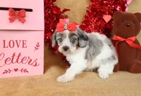 processed/9c18472a-38f5-456f-a226-38b1260b9b2e/listing/44fb263c-c731-4aaf-8796-aa9872084422/67efce2c-dfd6-49c6-adf4-d3e280fae859