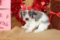 processed/9c18472a-38f5-456f-a226-38b1260b9b2e/listing/44fb263c-c731-4aaf-8796-aa9872084422/84ee9e7e-662d-4737-9609-dfe83b242c60