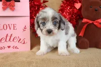 processed/9c18472a-38f5-456f-a226-38b1260b9b2e/listing/44fb263c-c731-4aaf-8796-aa9872084422/c877d720-2c13-40c1-943d-c3d37d7f99ab