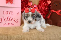 processed/9c18472a-38f5-456f-a226-38b1260b9b2e/listing/44fb263c-c731-4aaf-8796-aa9872084422/ce625c57-0cd5-4348-a68b-a1da78e374bf